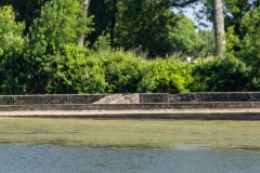 p1121178