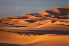 Maroc désert du Sahara,Photo ultra HD sur alu Dibond 119,6 x 50 cm