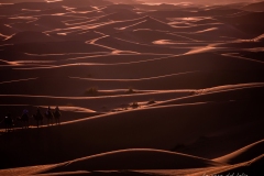 p1056226