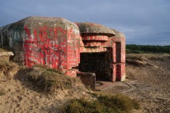 3_03c9a316-649a-4799-86b7-92236b1f455c_1_105_c