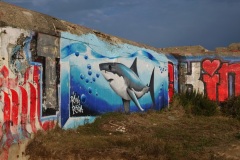 3_03d8c3c7-1b66-423a-b16e-35e00959df78_1_105_c