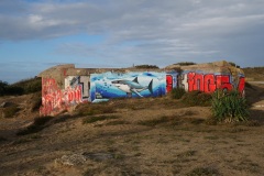 3_0ca054d3-65e6-4450-8d84-dafd380e4b3d_1_105_c