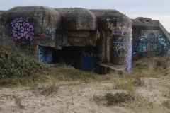 3_10d8791d-4d8f-4238-975d-f22d61eb1681_1_105_c