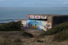 3_2f7c73bd-468b-43c6-892f-8bf9e36a19a1_1_105_c