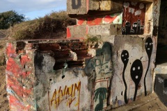 3_c79d18c5-2847-4b29-8c3f-dcff6f4c1cc2_1_105_c