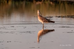 29_dsc02055_493