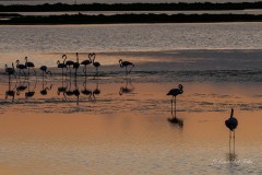 29_p1205844-2_209
