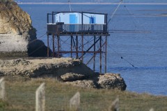 4_16cf28ec-95dc-40ed-b28b-0101604ce1ea_1_201_a