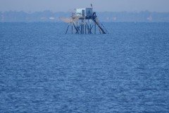 4_27a2ff5c-ce65-4aa0-b48e-45002664f552_1_201_a