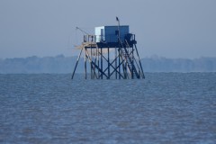 4_4f05bb80-b3c3-436b-a55f-0c93b70341b1_1_201_a