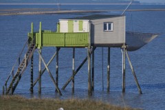 4_71caa7ce-81d4-4f0d-adfe-752d1b8be5af_1_201_a