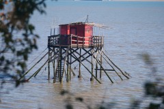 4_8f1d5342-ebc1-41c7-9a9d-05d9680a3c40