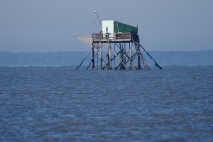 4_93581db9-836d-4a90-bf5b-20d5d56d3bef_1_201_a