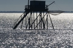 4_a14d2053-d2a0-467d-99ba-8d23ba7aa122_1_201_a