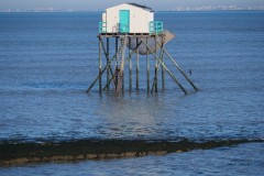 4_a355daf3-9770-4c92-a2ad-fff245f3f22c