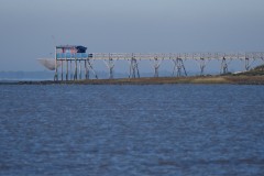 4_acdf50be-9a90-45e5-8619-33b37c595e6d_1_201_a