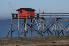 4_b51e83f7-4d4d-4017-ab6d-2792b1177710_1_201_a