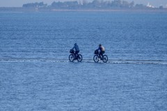 4_e3de15b6-ae37-4827-854e-fb228e8618d4_1_201_a