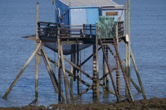 4_ea777d34-f224-4e11-a5cb-4ef34839473f_1_201_a