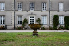 33_dsc08942_517