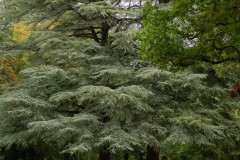 33_dsc09010_142