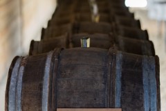 33_dsc09064_249