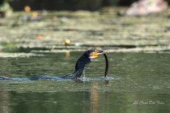 28_dsc00157_125