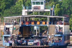 7_17e919df-40ab-42c5-bfd0-f10541ac8e1c_1_105_c_355