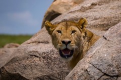 34_7be48cb2-3e76-476a-a084-aedfe6a913ee_1_201_a_956