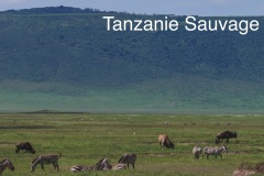 34_capture-d-e-cran-2025-09-23-a-16.38.36