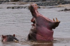 34_f69885ae-187e-48bf-ab72-b07491af5c5d_1_105_c_673