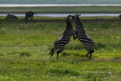 34_fb81b95e-e26e-4d8e-920b-f92b04cd148b_1_105_c_664