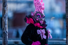DSC00503