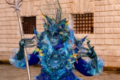 DSC08118