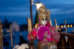 DSC08541