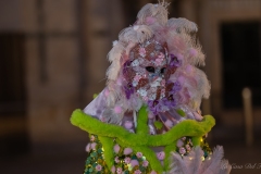 DSC08558