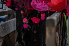 DSC09144