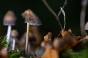 DSC05368