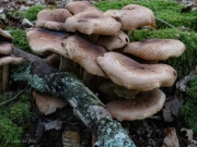 p1051562