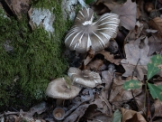 p1051566