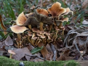 p1051569