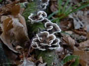 p1051571