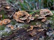 p1051575