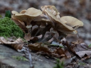 p1051624