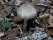 p1051627