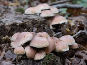 p1051628