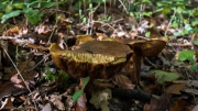 p1051659