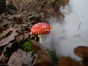 p1051695