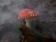 p1051697