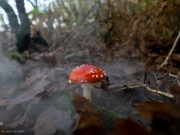 p1051698